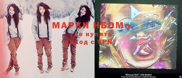 круглые Гусев