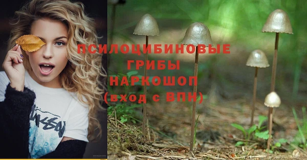 jwh Дмитровск