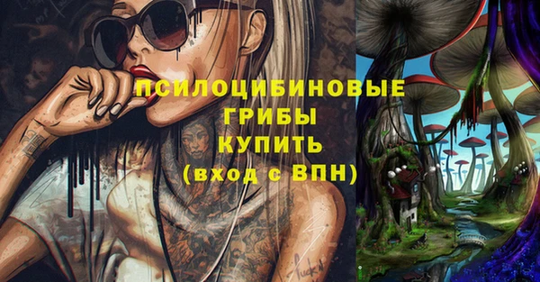 круглые Гусев