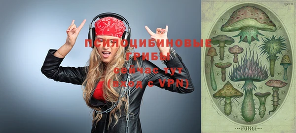 мет Гусиноозёрск